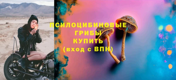 стаф Богданович