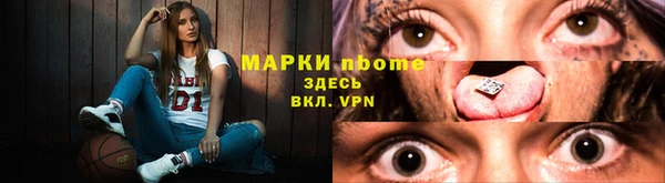 стаф Богданович