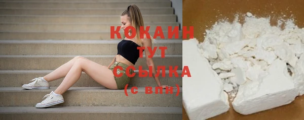 стаф Богданович