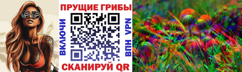 Псилоцибиновые грибы MAGIC MUSHROOMS  сколько стоит  Нарьян-Мар 